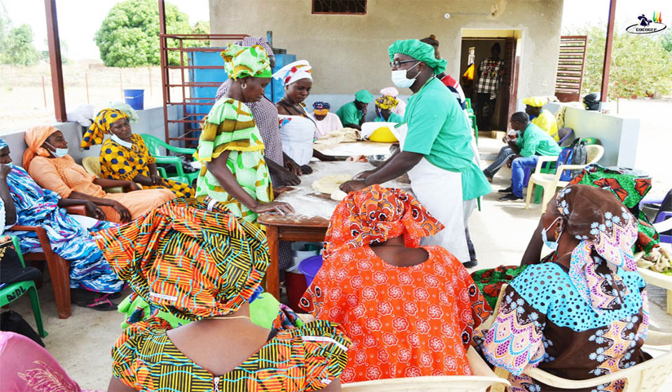 You are currently viewing 50 membres des Calebasses De Solidarité formés à la fabrication du pain