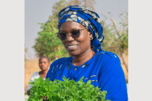 Lire la suite à propos de l’article ÉDITORIAL Les femmes trouvent dans la calebasse de solidarité, un cadre d’échange, de liberté d’expression, de prise en compte de leurs préoccupations.