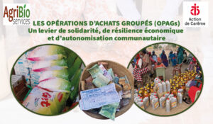 Lire la suite à propos de l’article ÉDITORIAL OPÉRATIONS D’ACHATS GROUPÉS (OPAGs) Un levier de solidarité, de résilience économique et d’autonomisation communautaire