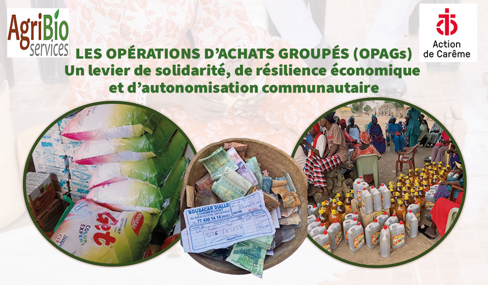 Lire la suite à propos de l’article ÉDITORIAL OPÉRATIONS D’ACHATS GROUPÉS (OPAGs) Un levier de solidarité, de résilience économique et d’autonomisation communautaire